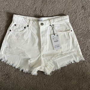 Zara high rise shorts